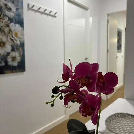 Vistamar Primera Linea De Playa Y Centrico * كونيل ذي لا فرونتيرا