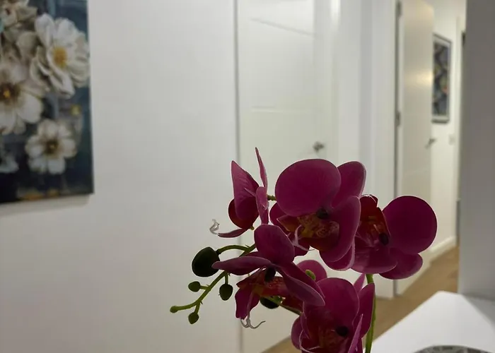 Vistamar Primera Linea De Playa Y Centrico * Conil De La Frontera