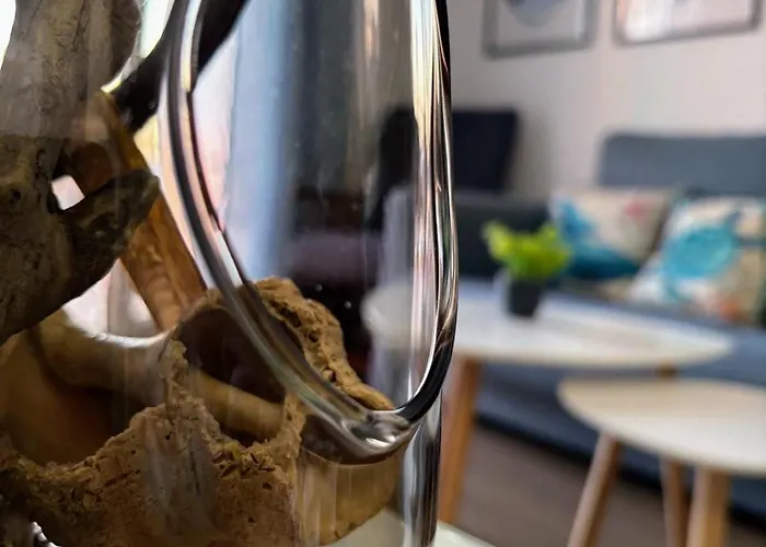 Vistamar Primera Linea De Playa Y Centrico *